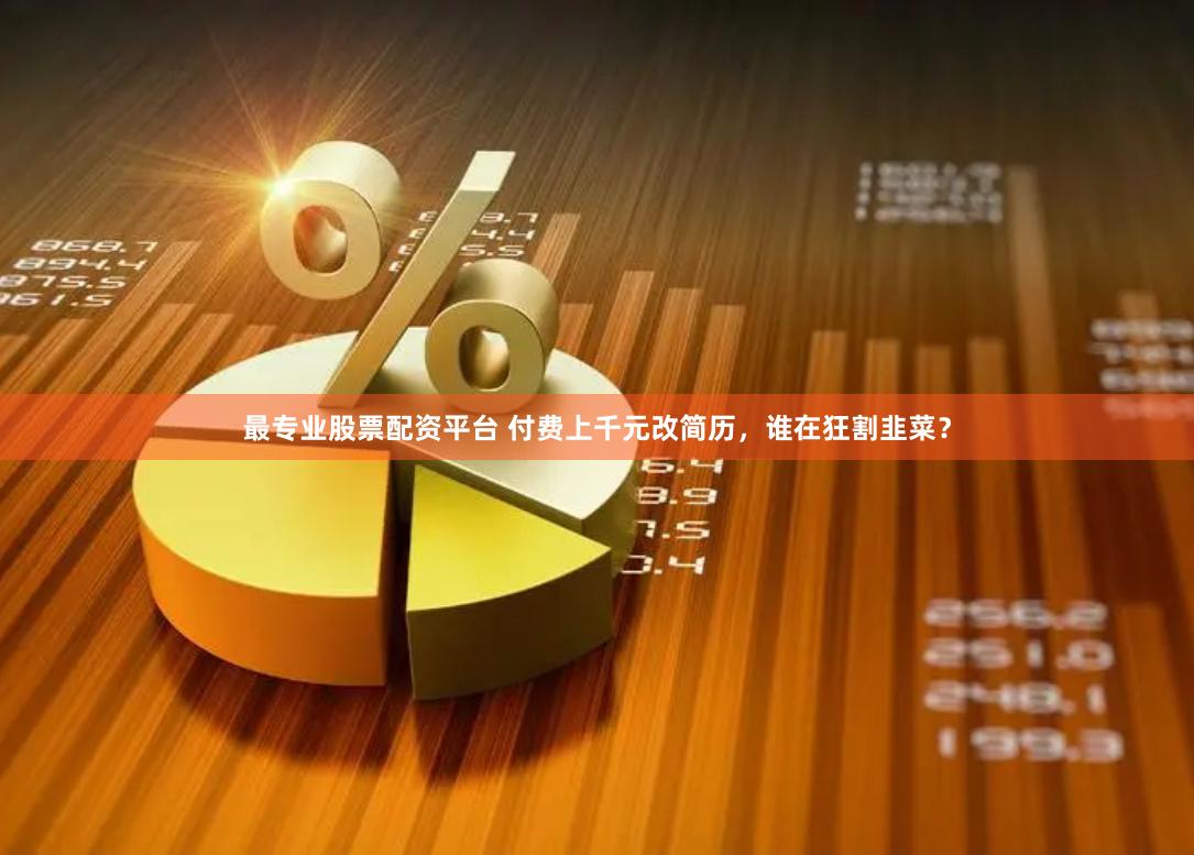 最专业股票配资平台 付费上千元改简历,谁在狂割韭菜?
