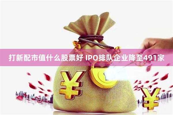 打新配市值什么股票好 IPO排队企业降至491家