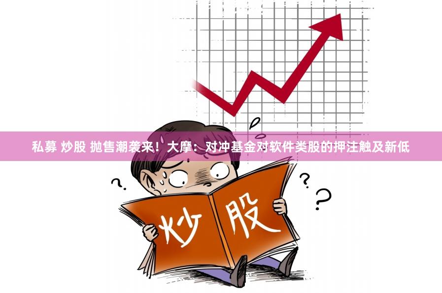私募 炒股 抛售潮袭来！大摩：对冲基金对软件类股的押注触及新低