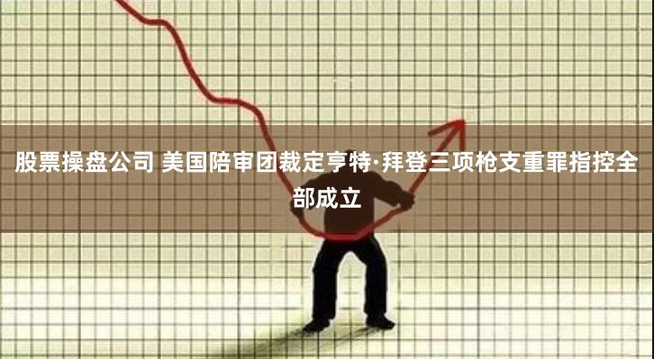 股票操盘公司 美国陪审团裁定亨特·拜登三项枪支重罪指控全部成立