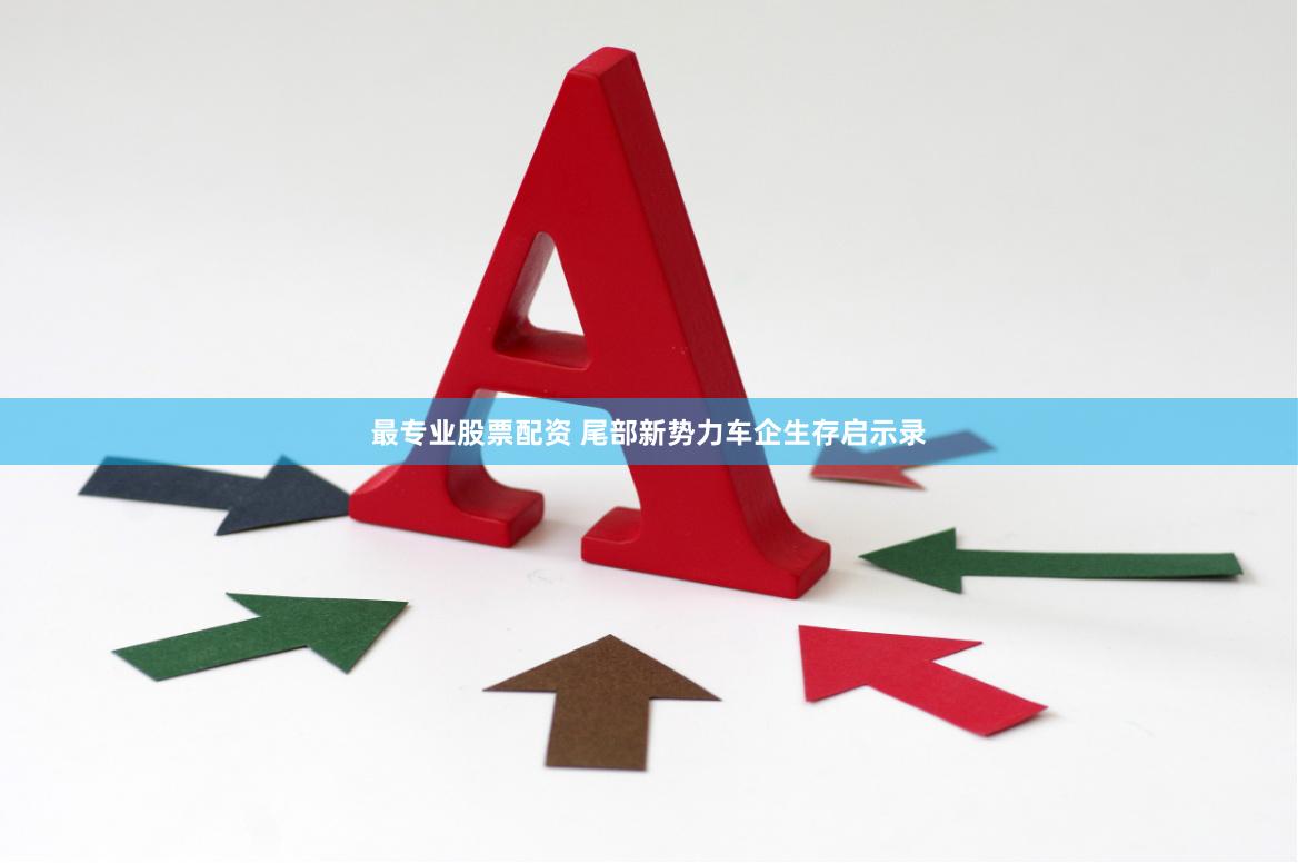 最专业股票配资 尾部新势力车企生存启示录