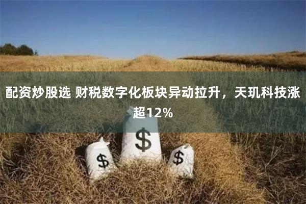 配资炒股选 财税数字化板块异动拉升,天玑科技涨超12%