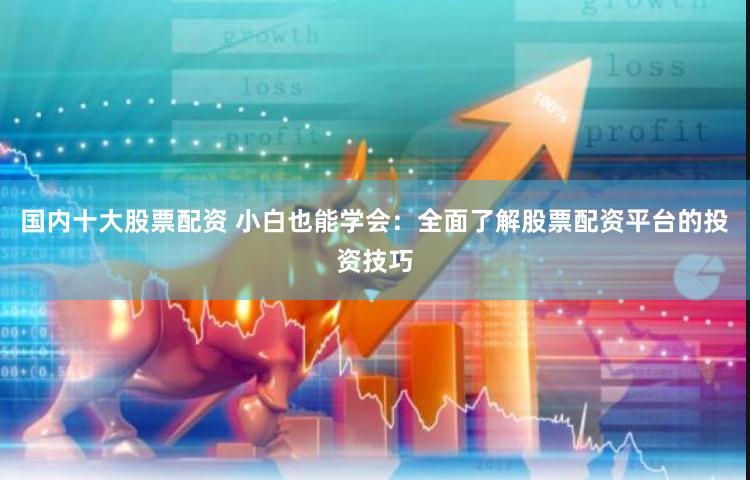 国内十大股票配资 小白也能学会：全面了解股票配资平台的投资技巧