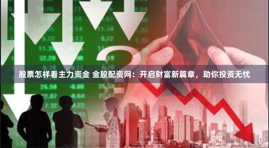 股票怎样看主力资金 金股配资网:开启财富新篇章,助你投资无忧