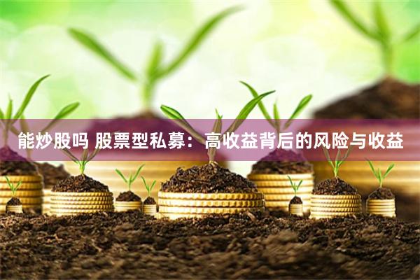 能炒股吗 股票型私募:高收益背后的风险与收益